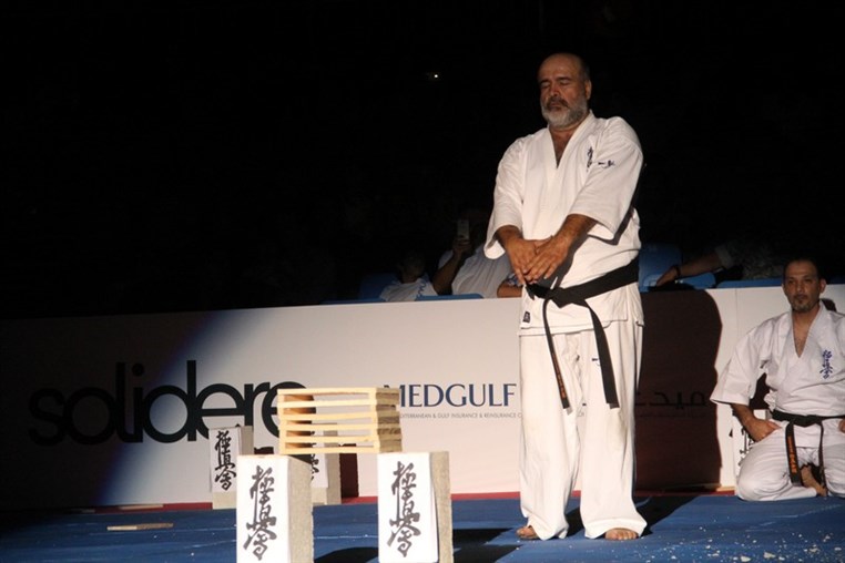 Martial Arts Festival